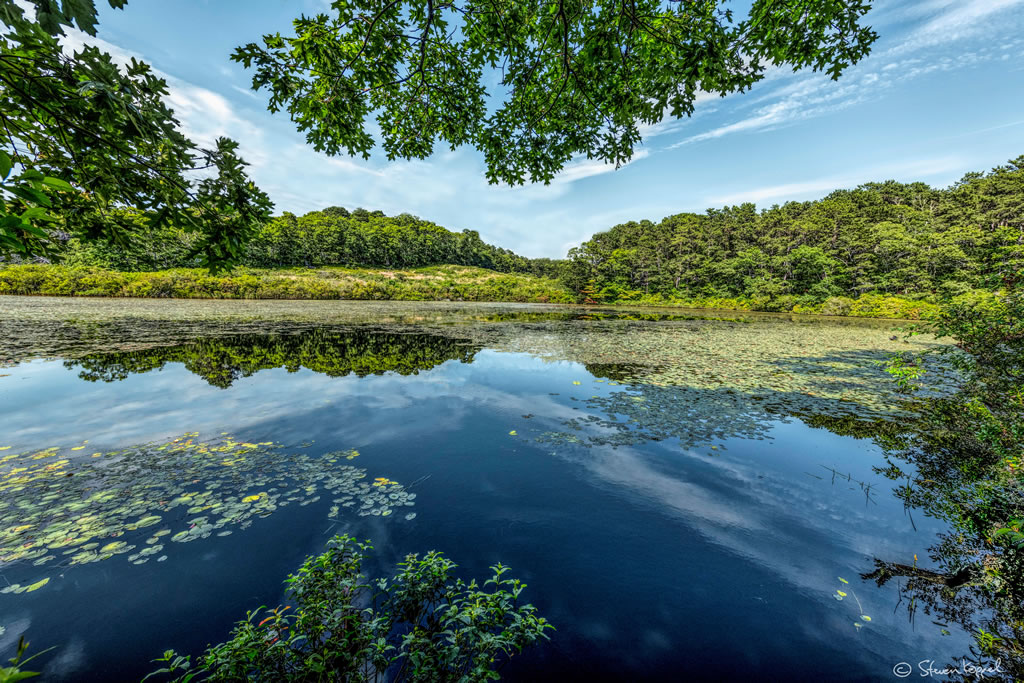 Cape Cod Freshwater Pond