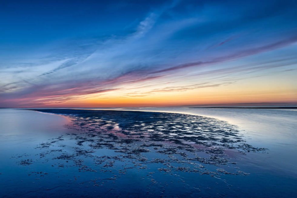 Emeritus Board Association to Preserve Cape Cod