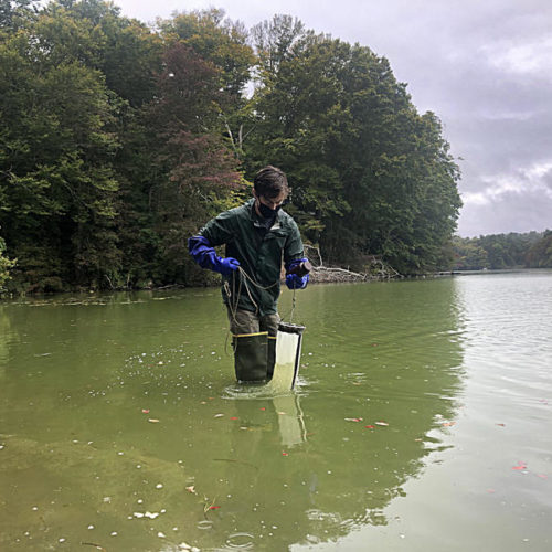Ecologist Kevin Johnson collects water samples in Santuit Pond in Mashpee