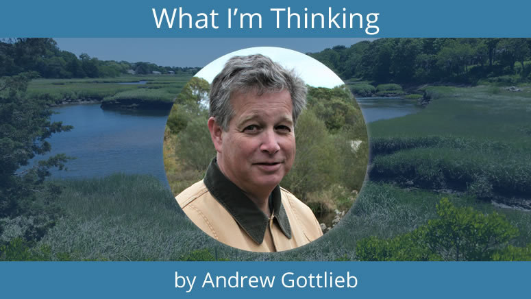 What I'm Thinking - by Andrew Gottlieb