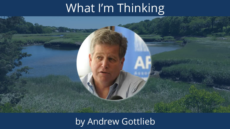 What I'm Thinking - by Andrew Gottlieb