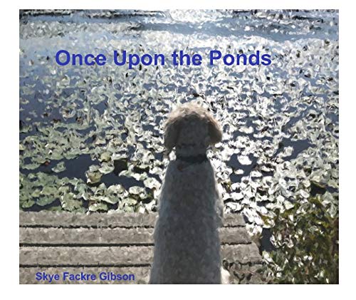 Pond Stories: Looking at Red Lily Pond, Craigville (Through a Dog’s Eyes)
