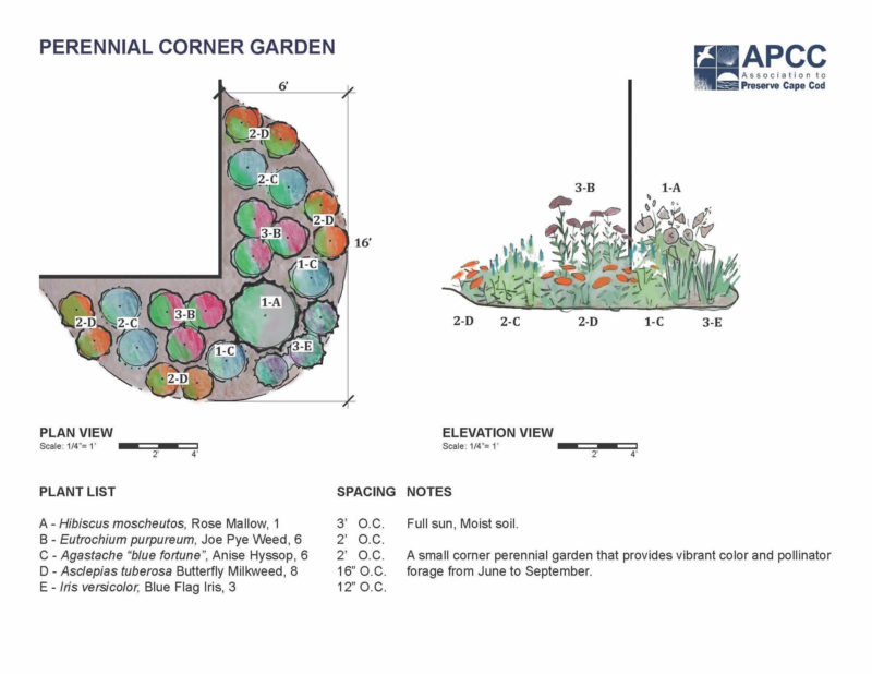 Perennial Corner Garden Example