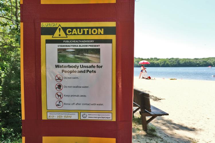 A public health advisory notice posted at Ryder Conservation Lands warns cyanobacteria is present in the water of Wakeby Pond. GENE M. MARCHAND/ENTERPRISE
