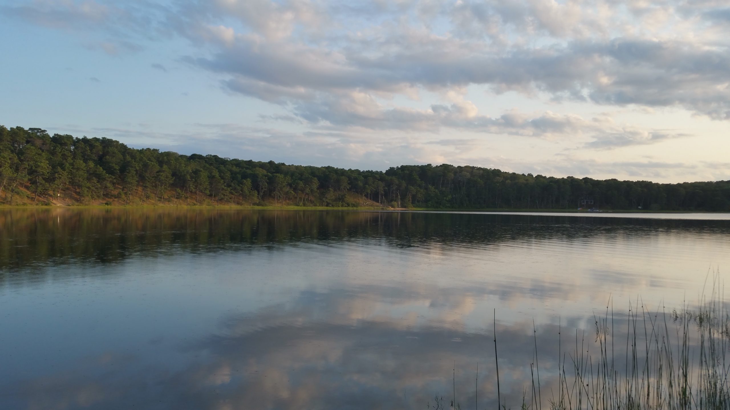 Pond Stories: By An Inland Lake