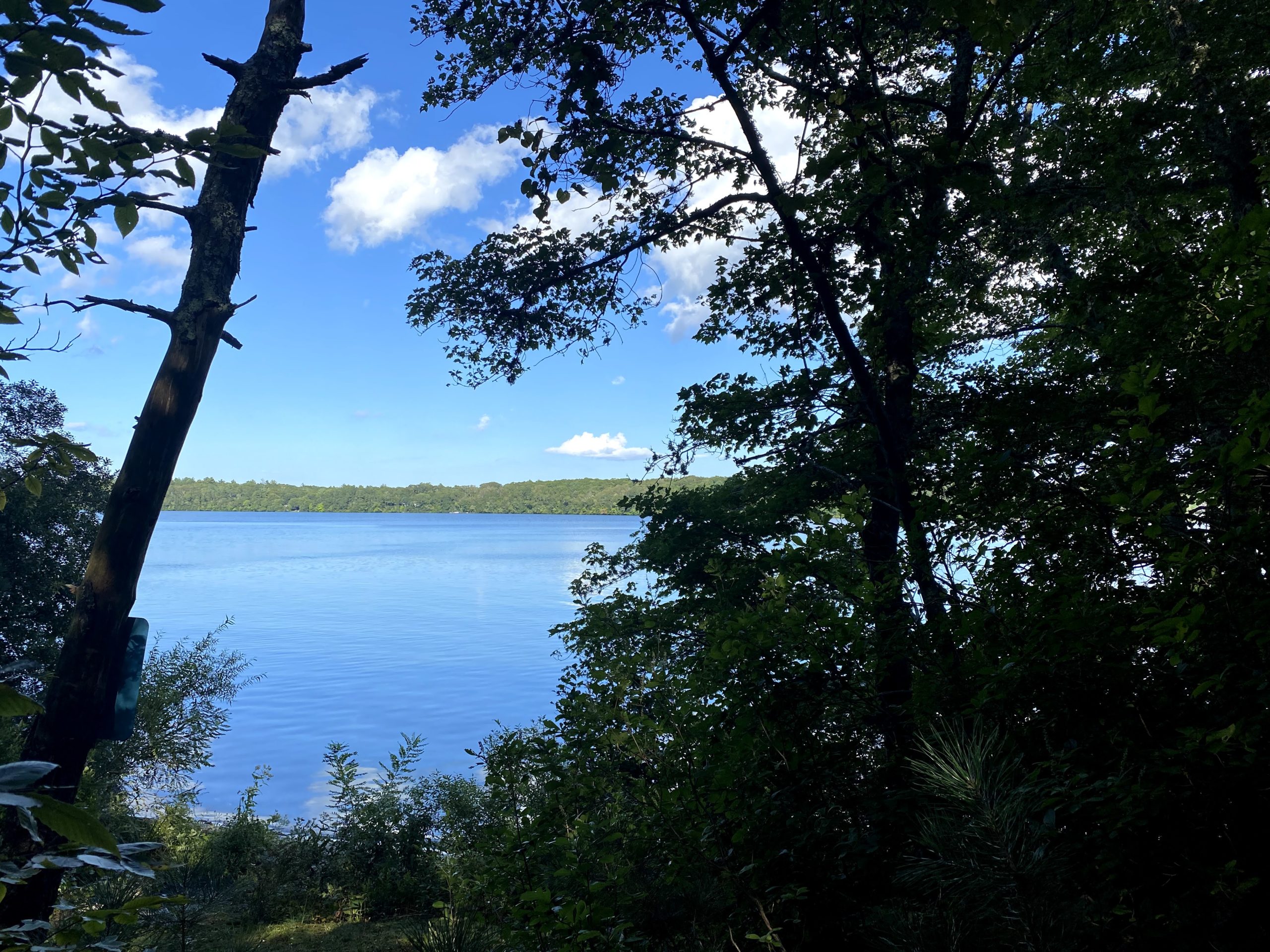 Pond Stories: Me And We