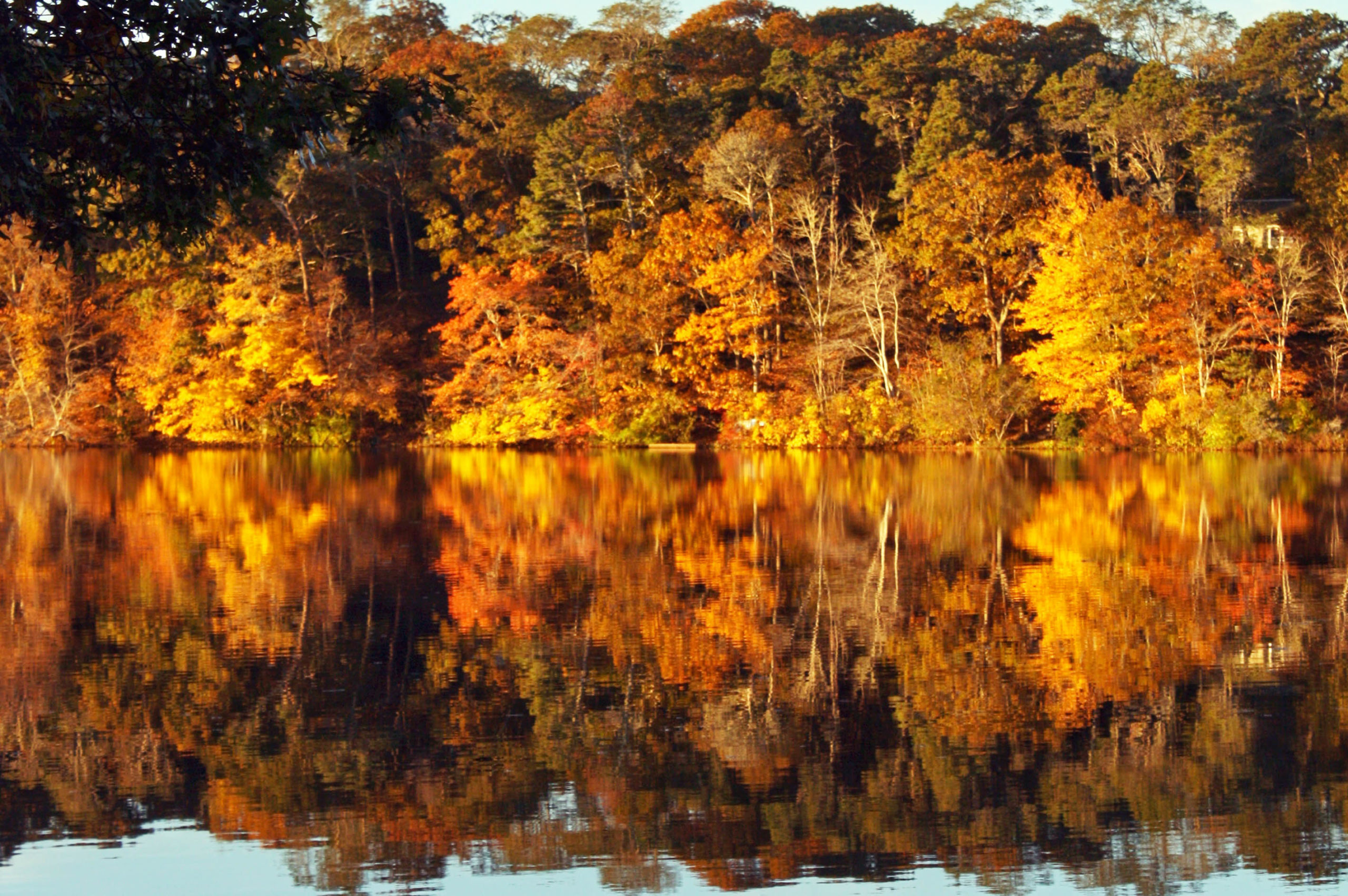 Pond Stories: Crystal Lake, Orleans