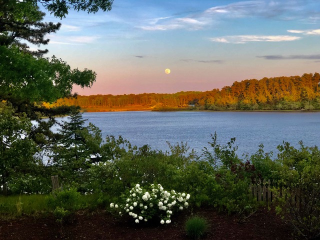 Pond Stories: 7 Months of Sunsets & Sunrises Over Elbow Pond