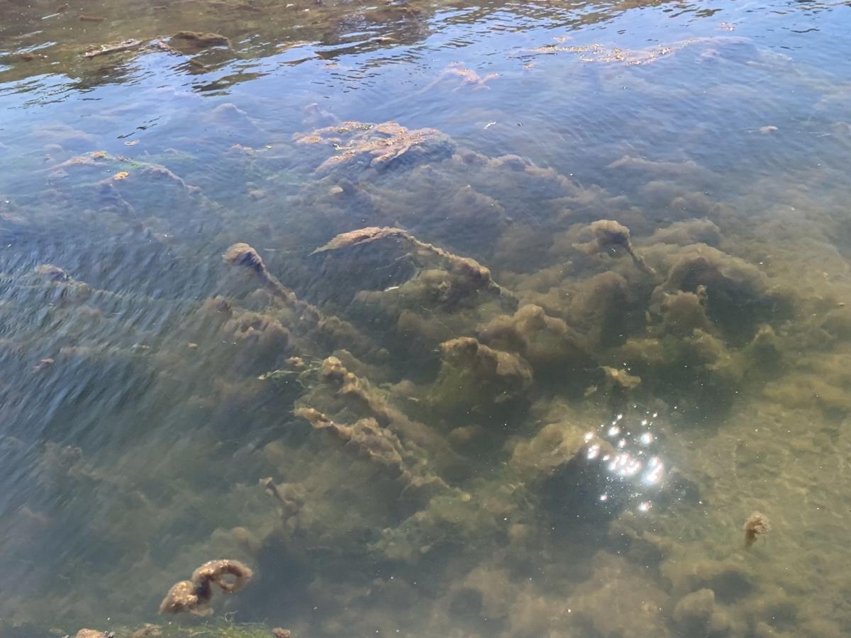 The Enterprise: APCC State Of The Waters Report: Optimism Despite Continued Water Quality Decline