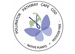 Pollinator Pathway Cape Cod