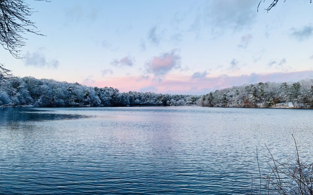 Pond Stories: Fresh Pond, Falmouth
