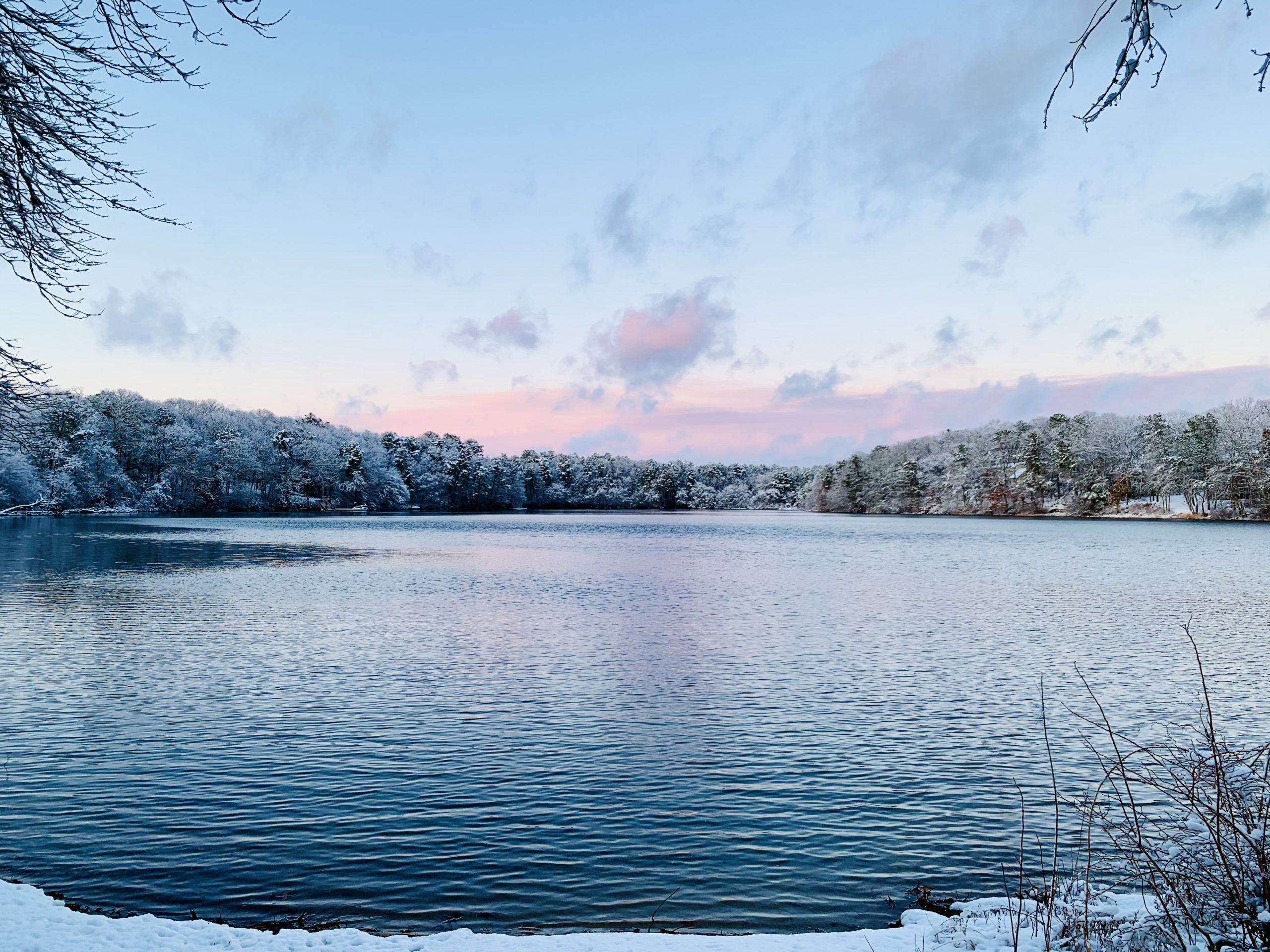 Pond Stories Fresh Pond, Falmouth Association to Preserve Cape Cod