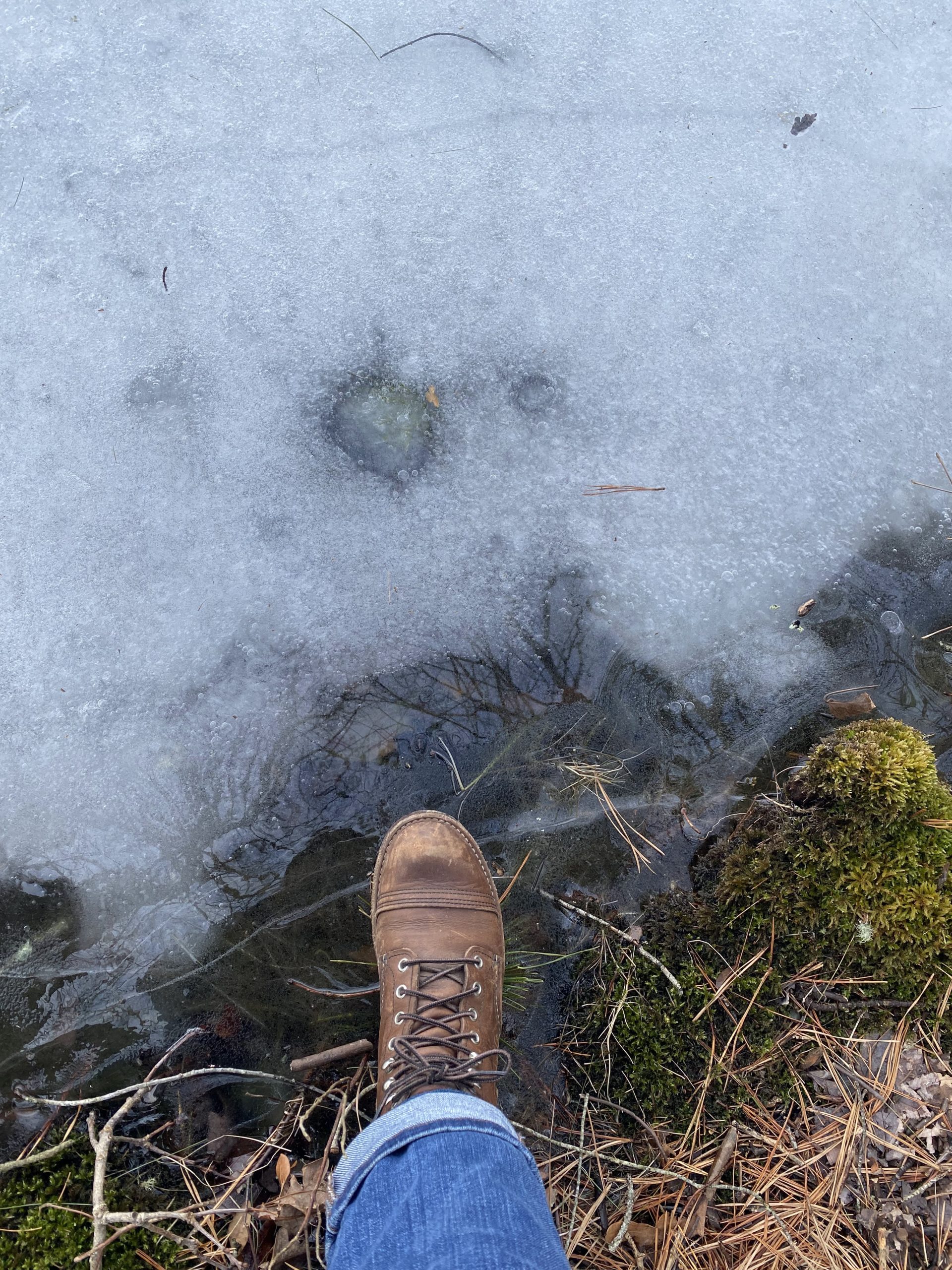 Pond Stories: Patti Smith, Erin Brokovich & The Year of the Tiger