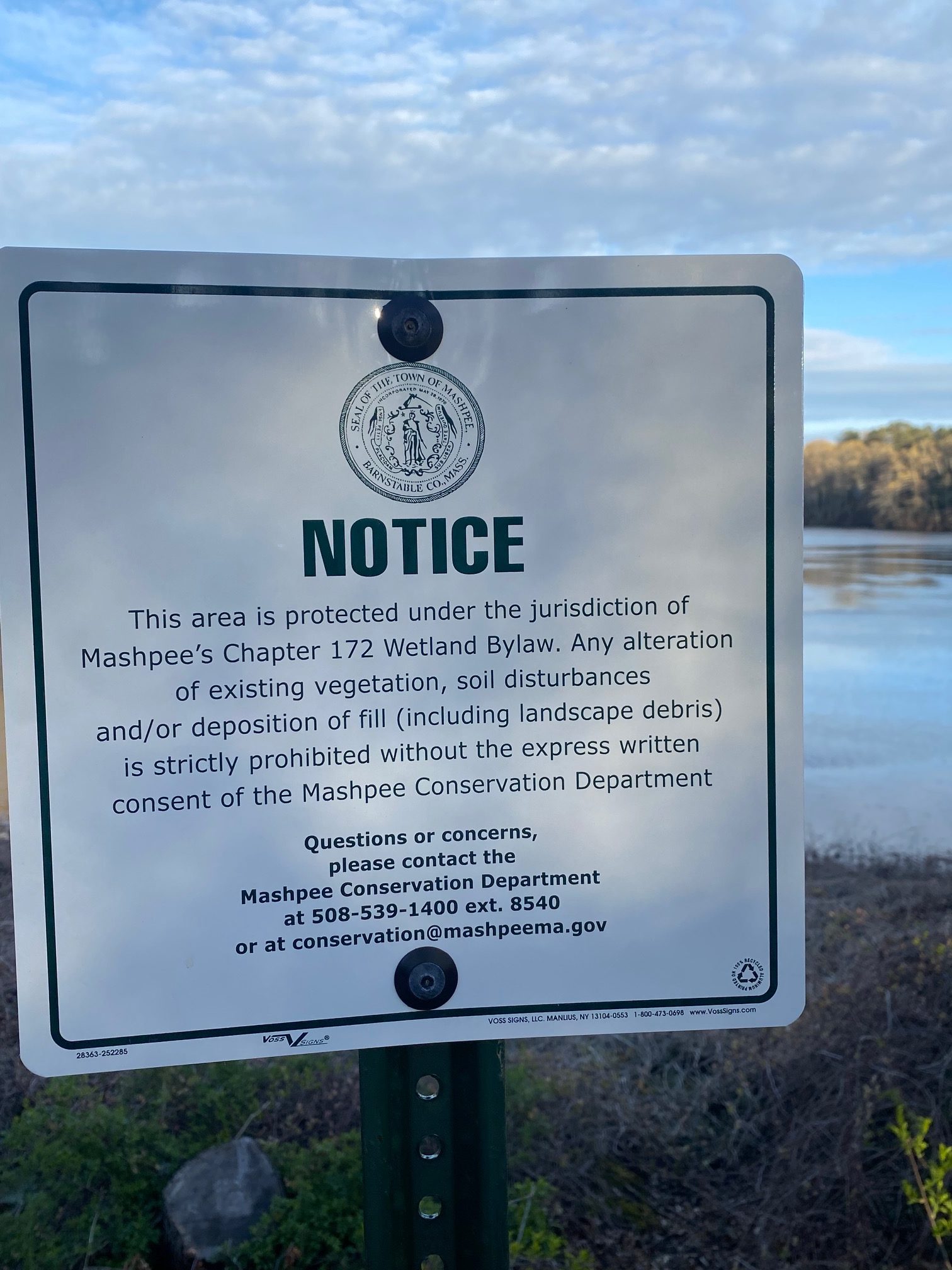 Pond Stories: What We Pretend Not To See