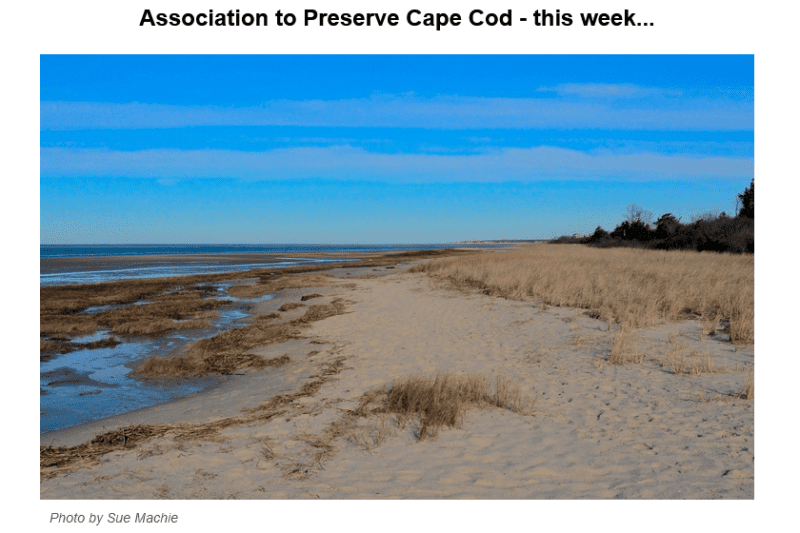 Photo of Cape Cod shoreline.