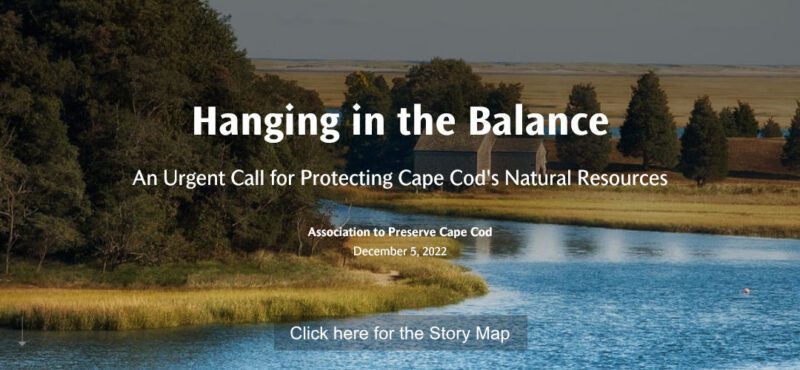 Hanging in the Balance