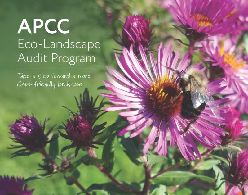 APCC Eco Landscape Program