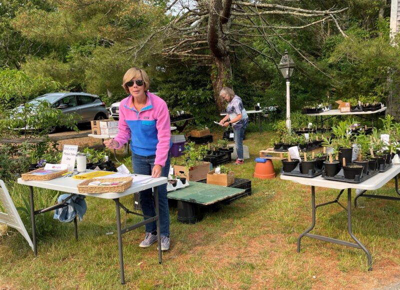 Native Plant Sale