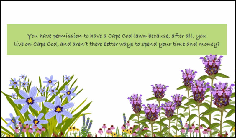 guidelines-cape-friendly-landscapes-booklet-for-sale-apcc-1