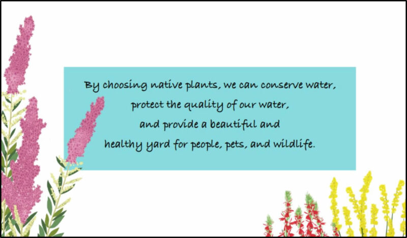 guidelines-cape-friendly-landscapes-booklet-for-sale-apcc