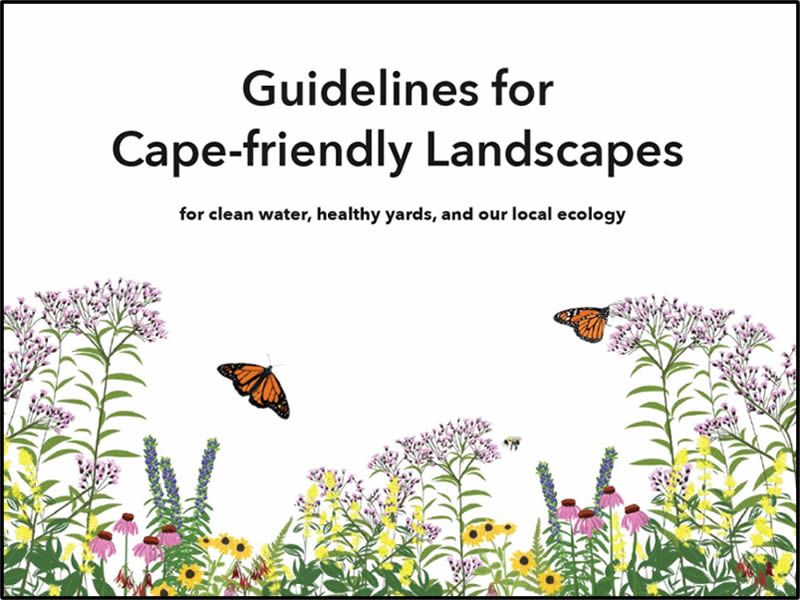 Guidelines for Cape Friendly Landsapes