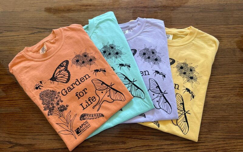 Garden Tshirts_dmarsh (9)