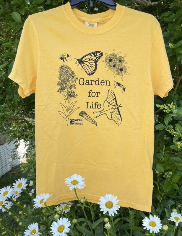Garden Tshirts_dmarsh _Daisy(5)