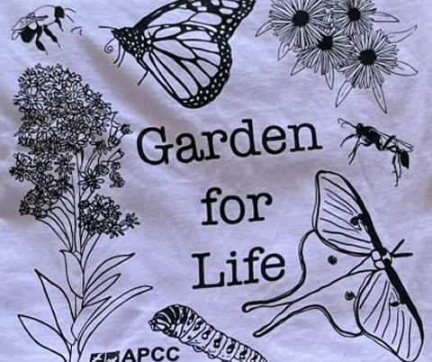 Orchid T-Shirt