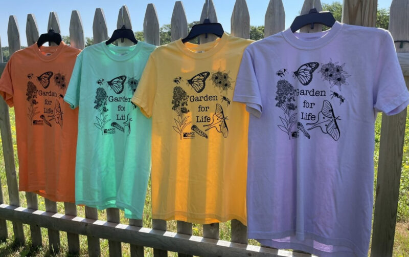 garden-t-shirts-colors
