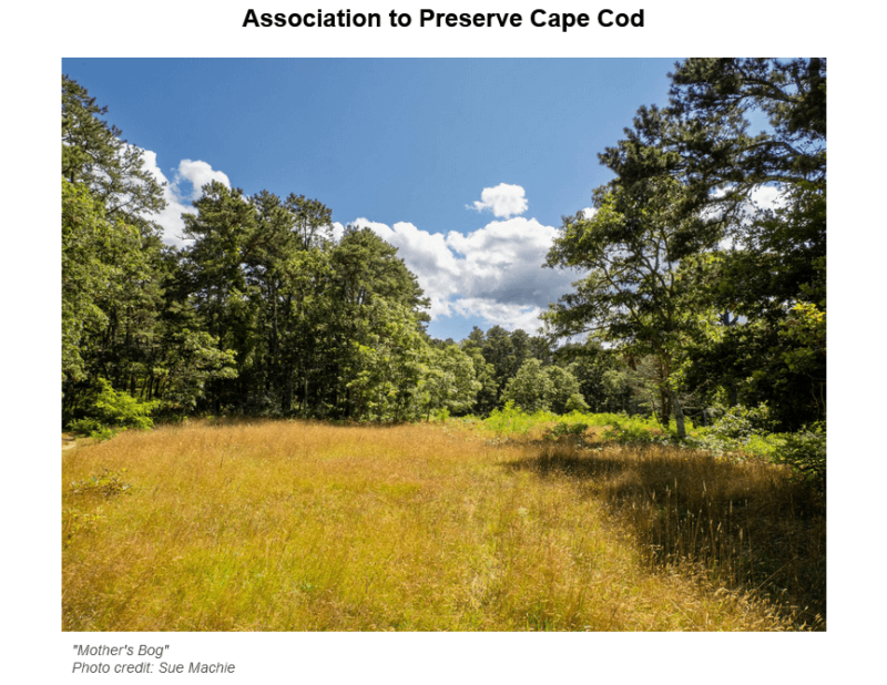 Association to Preserve Cape Cod - Scenic grassy field under a clear sky.