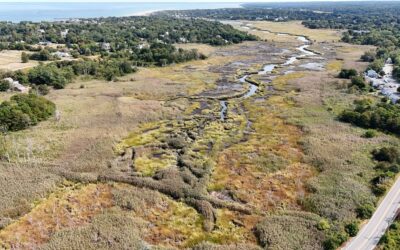 Request for Proposals Solicitation #: RFP-25-ERP-002