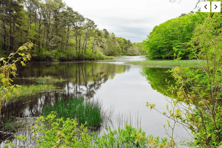 The Enterprise: APCC Receives Grant To Restore Mashpee River, Bolster Wampanoag Community