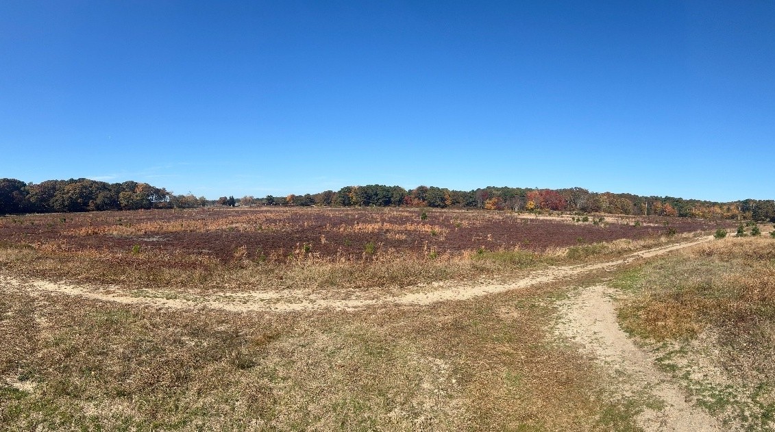 Hinckleys Pond Hinckleys Pond