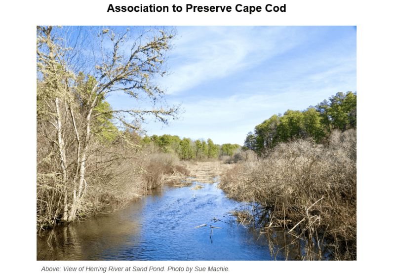 View of Herring River at Sand Pond