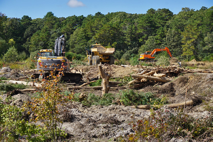 Garner Bog Wood Installation FRGC