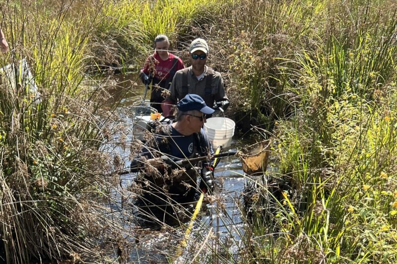 SHurley_electrofishing_childs