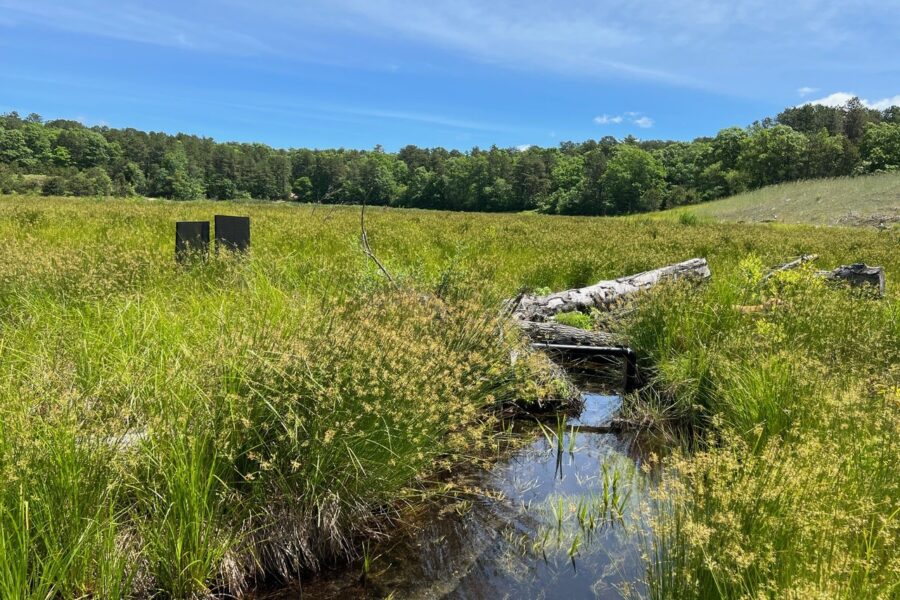 Childs River Post Restoration