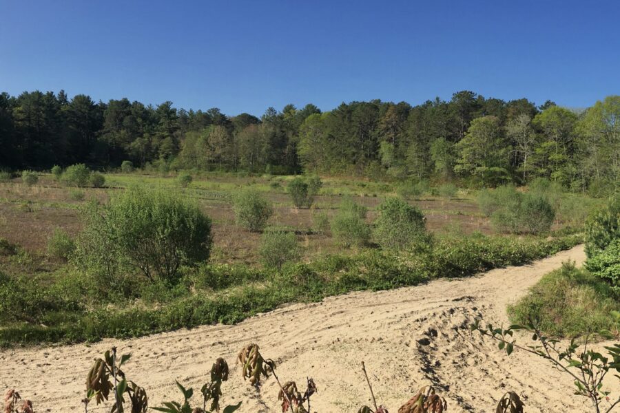 Childs River Pre Restoration
