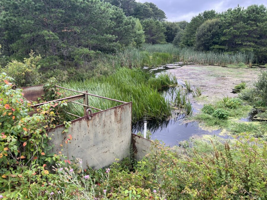 Upper Quashnet River