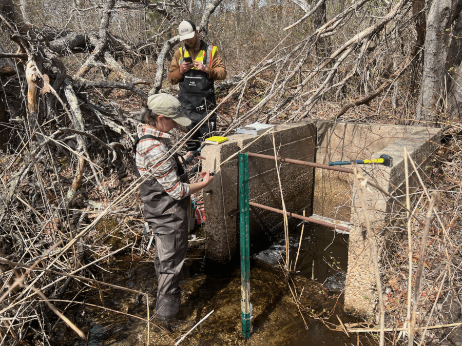 Washburn Pond Sampling