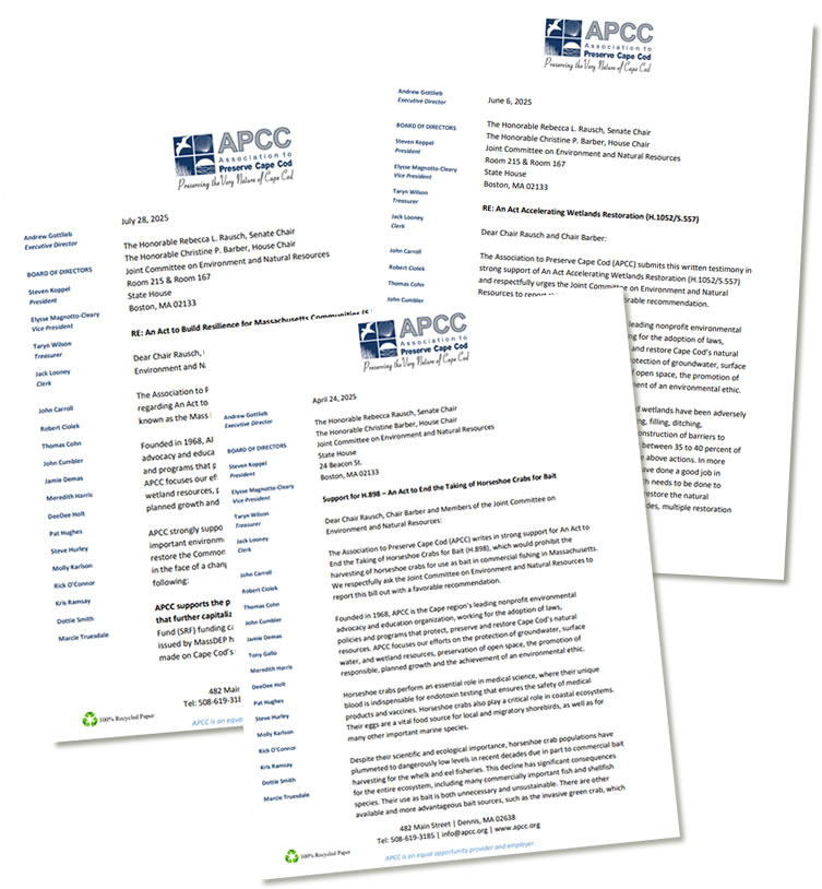 position-statements-apcc-2025