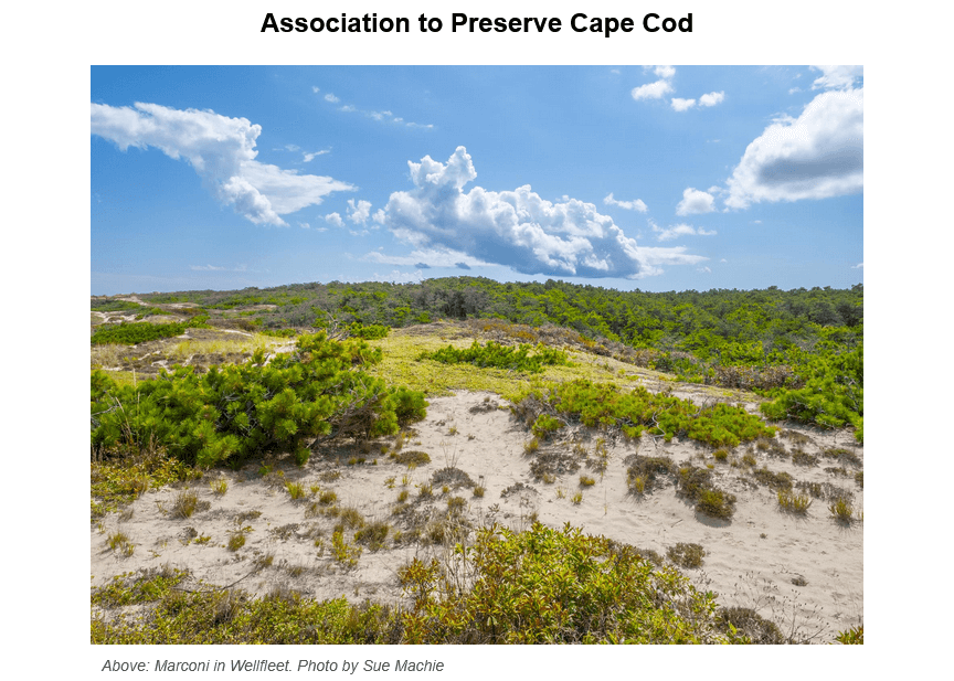 Aerial view of Cape Cod's natural landscape showing rolling sand dunes covered with native vegetation including beach grass and scrub oak, under a partly cloudy blue sky. The terrain features a mix of sandy patches and green vegetation typical of coastal Massachusetts ecosystems