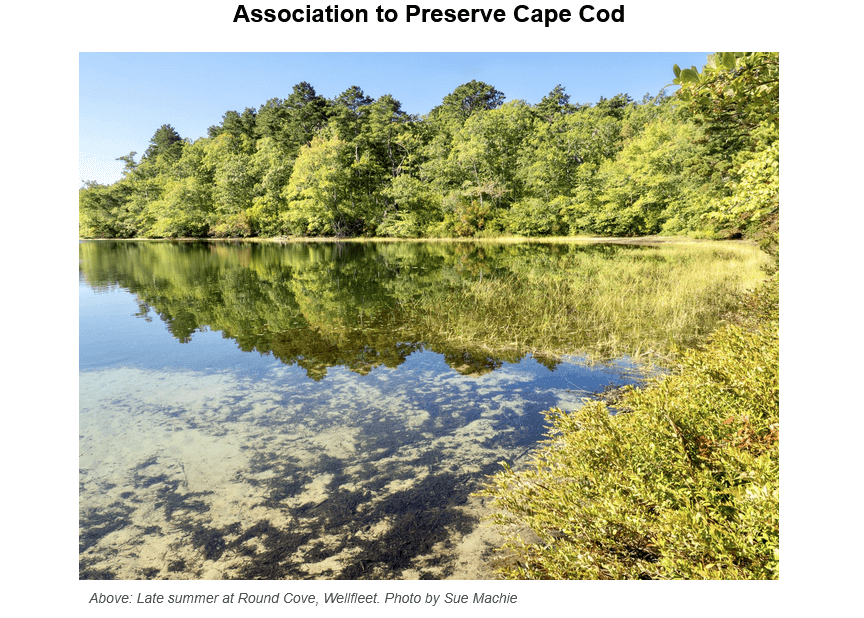 A serene pond at Round Cove in Wellfleet surrounded by lush green trees, with clear water reflecting the forest canopy and blue sky above, captured during late summer for the Association to Preserve Cape Cod
