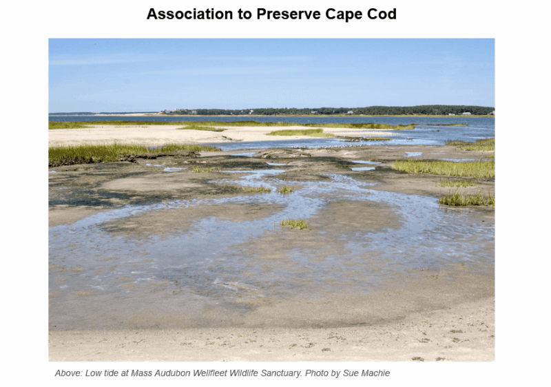 Tidal pools and salt marshes at low tide in Mass Audubon Wellfleet Wildlife Sanctuary on Cape Cod, showing shallow water channels winding through sandy flats with patches of green marsh grass, under a partly cloudy blue sky with distant shoreline visible on the horizon.