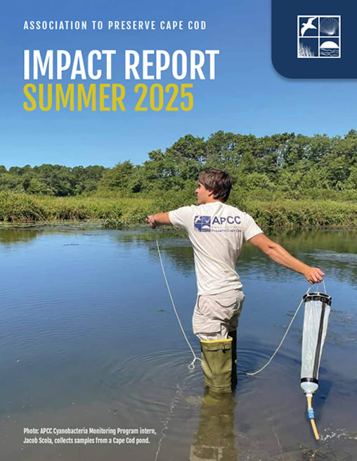 apcc-impact-report-summer-2025-cover