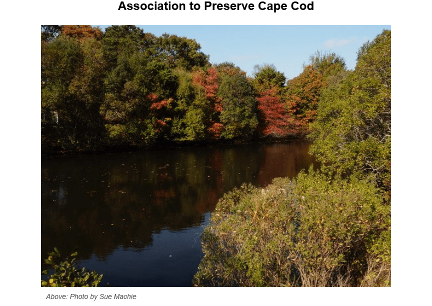 Autumn foliage reflected in a calm pond surrounded by mixed deciduous trees showing fall colors of red, orange, and green under a clear blue sky on Cape Cod