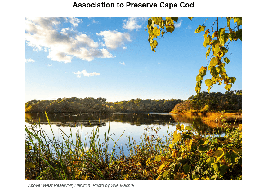 Tranquil autumn view of West Reservoir in Harwich, Cape Cod, with golden foliage framing calm waters, dense tree line along the shore, and blue sky with white clouds reflected in the water