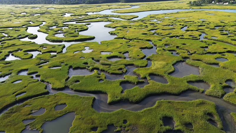 salt-marsh-aerial