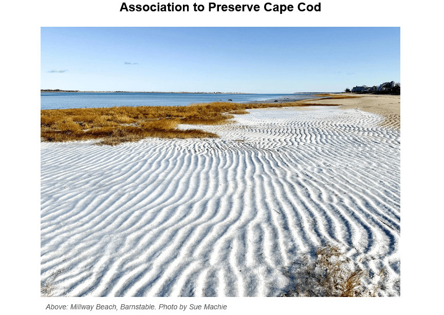 Rippled sand patterns at low tide with golden marsh grass along a coastal bay under clear blue skies