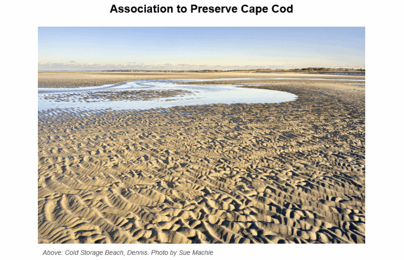 Expansive tidal flat at Cold Storage Beach in Dennis showing intricate rippled sand patterns in golden light, with a reflecting pool of water and distant shoreline under a blue sky